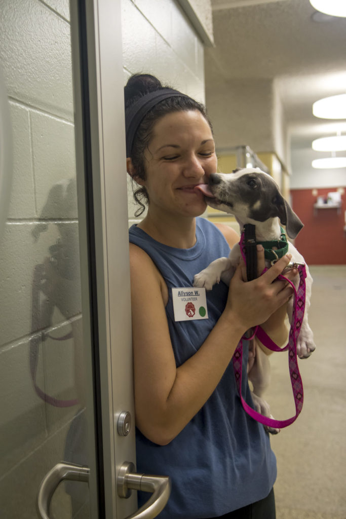 Animal shelters near me that best sale need volunteers