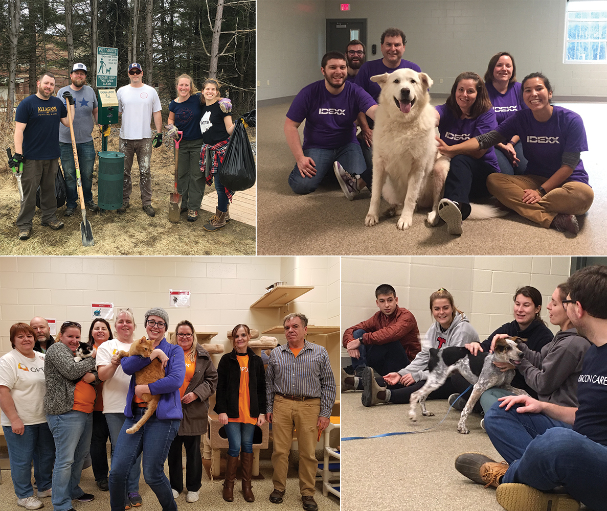Corporate Day of Service Program - Animal Refuge League of Greater Portland  - Maine Animal Shelter