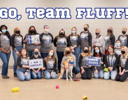 ARLGP in the puppy bowl