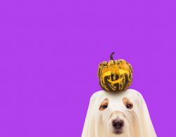 Howl-o-ween Pawty