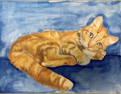 Pet Portrait Gallery