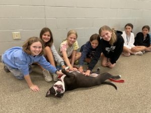 Clear Spring Elementary students help animals in need