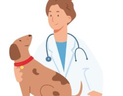 What We Know About The New Canine Respiratory Illness