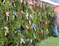 Christmas Trees and Wreaths Are Back