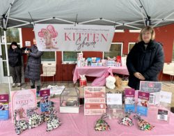 Thank You for Supporting our Kitten Shower